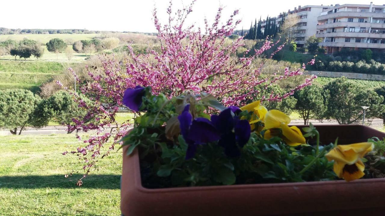 B&B Colline Verdi Vitinia 외부 사진