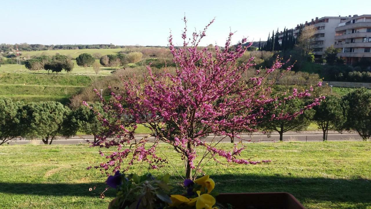 B&B Colline Verdi Vitinia 외부 사진